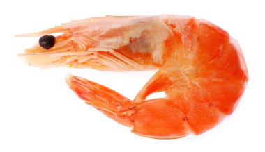 haşlanmış karides üzerinde beyaz izole