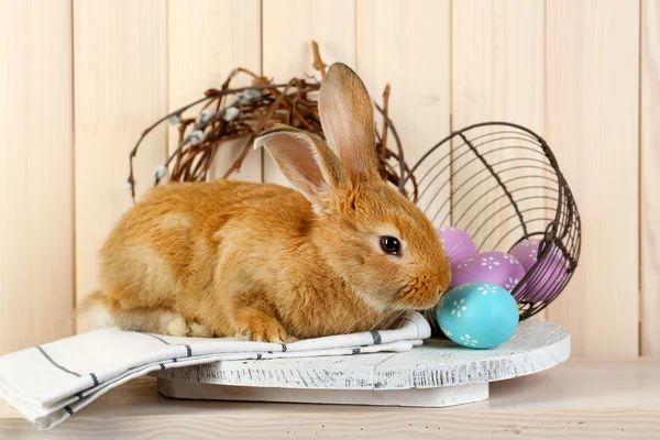 Paskalya yumurtaları ile tavşan — Stok fotoğraf
