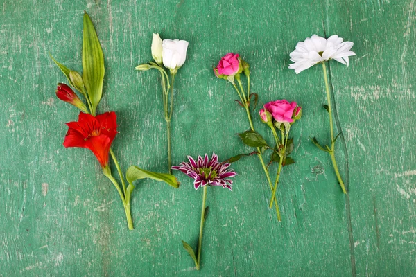 Different flowers on wooden background — Stock Photo, Image
