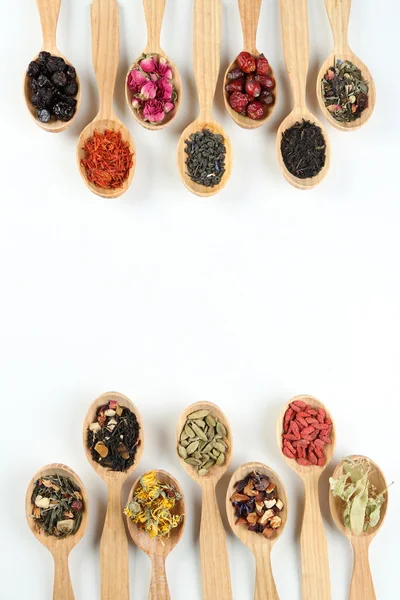 Çay ve doğal katkı maddeleri koleksiyonu — Stok fotoğraf