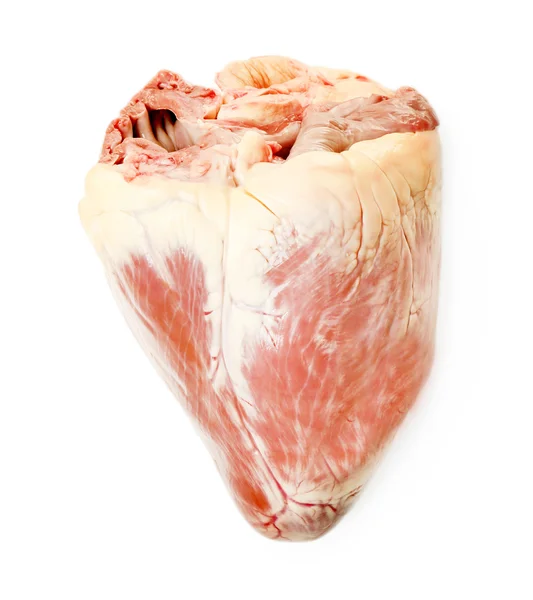 Corazón de animal crudo —  Fotos de Stock
