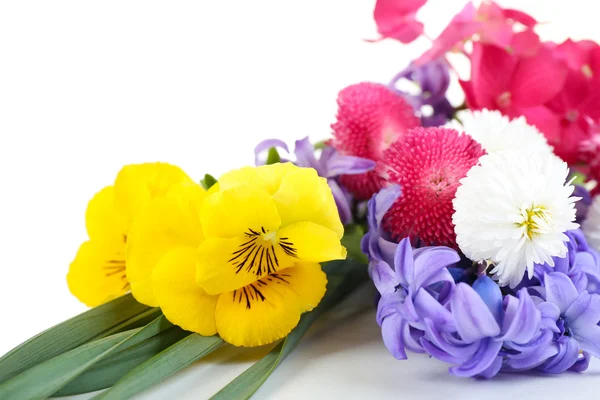 Beautiful bright flowers — Stock Photo, Image