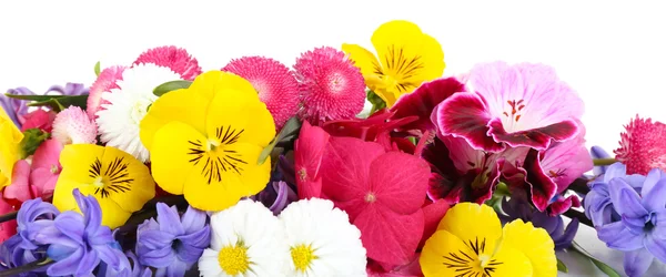 Lindas flores brilhantes — Fotografia de Stock