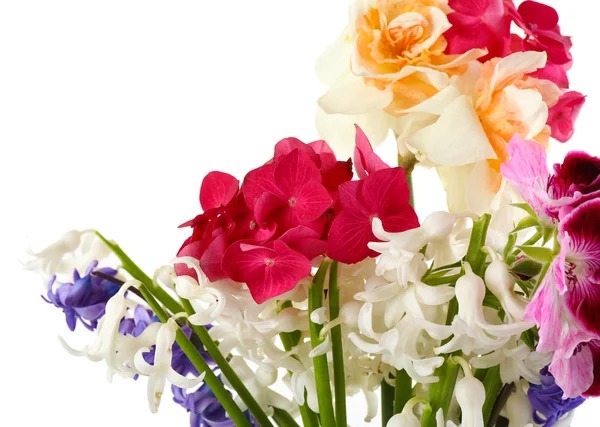 Piękne jasne kwiaty — Zdjęcie stockowe
