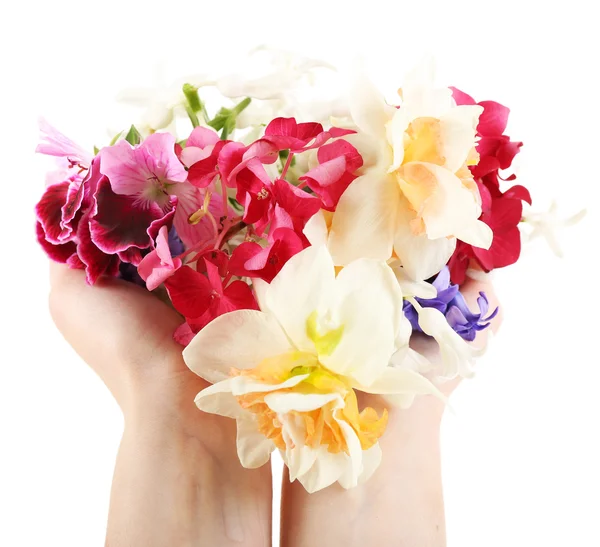 Mãos segurando flores brilhantes isoladas em branco — Fotografia de Stock