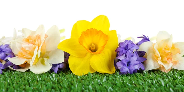 Vackra ljusa blommor — Stockfoto