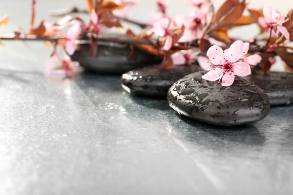 Спа камені з весняними квітами на столі крупним планом — стокове фото