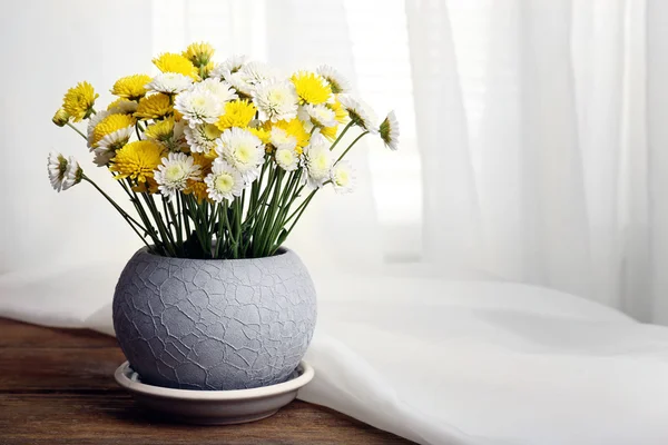 Bellissimo crisantemo in vaso su fondo tessuto — Foto Stock
