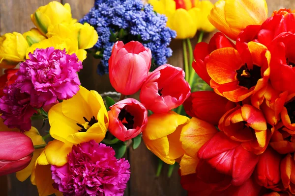 Krásný jarní květiny zblízka — Stock fotografie