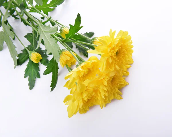 黄色の菊が白で隔離の美しい花束 — ストック写真