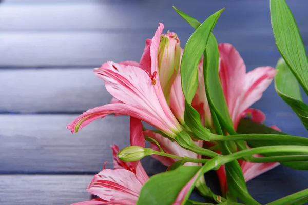 Belle alstroemeria sur fond en bois — Photo