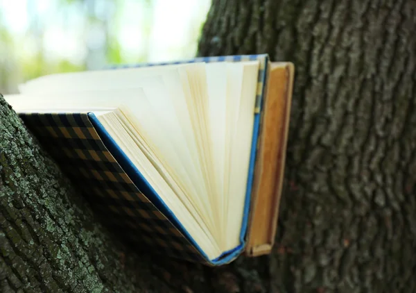 Books on tree, close-up — Stock Photo, Image