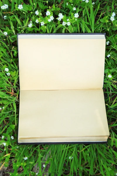 緑の草の背景に本を開く — ストック写真