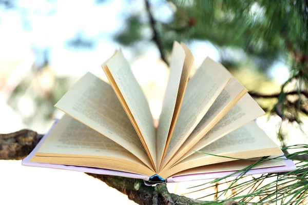 Book on tree branch, close-up — Stock Photo, Image
