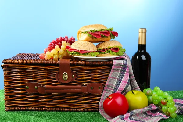 Sepet piknik — Stok fotoğraf