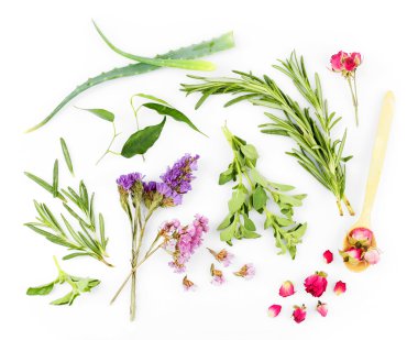 Yeşil otlar ve üzerinde beyaz izole yaprakları