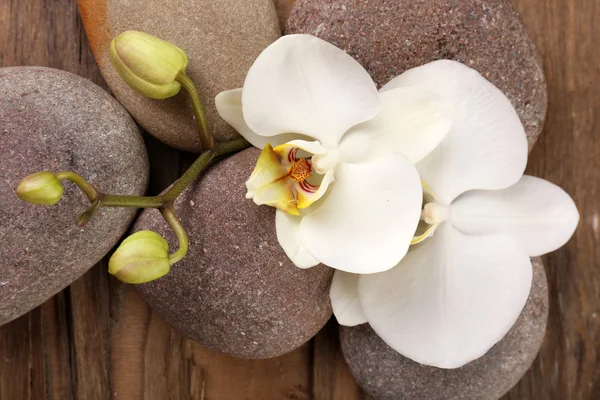 Spa stones and orchid flower on wooden background — Stock Photo, Image