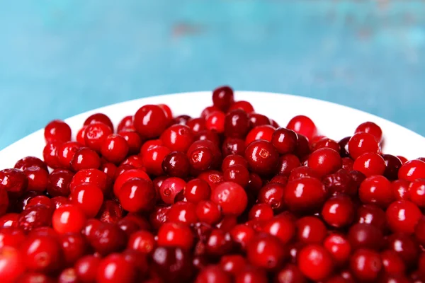 Preiselbeeren in Schüssel aus nächster Nähe — Stockfoto