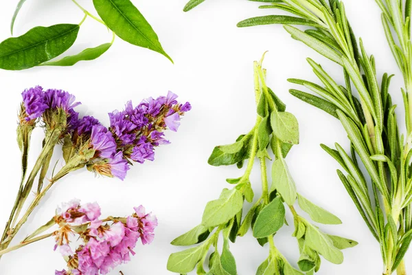 Green herbs and leaves isolated on white — Stock Photo, Image