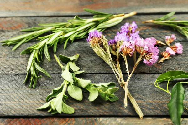 Green herbs and leaves on wooden  table, closeup — Stock Photo, Image