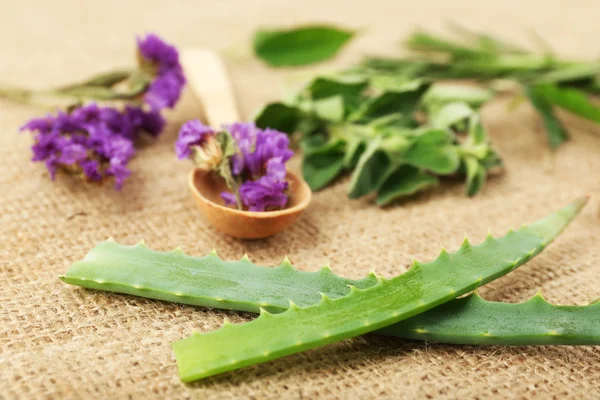 Green herbs and leaves on sackcloth, closeup — Stock Photo, Image