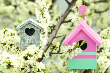 Dekoratif iç içe geçmiş kutular