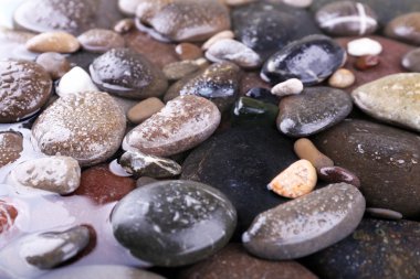 Islak deniz çakıl arka plan