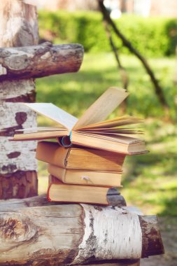 Açık havada kitap yığını