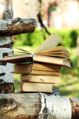 Açık havada kitap yığını