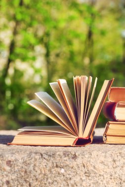Açık havada kitap yığını