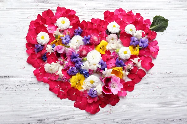 Pétalas de belas flores de primavera em forma de coração no fundo de madeira — Fotografia de Stock