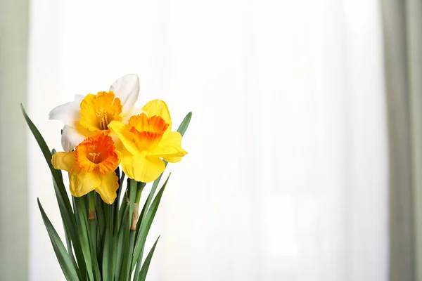 Bellissimi narcisi in vaso su sfondo tessuto — Foto Stock