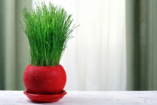 Green grass in pot on fabric background — Stock Photo, Image