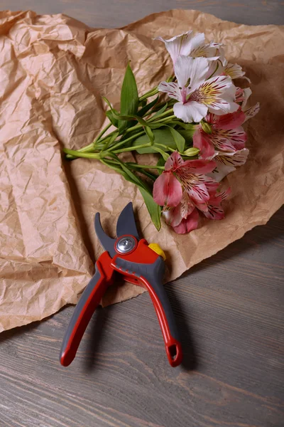 Beautiful Alstroemeria with secateurs on parchment on wooden table, top view — Stock Photo, Image