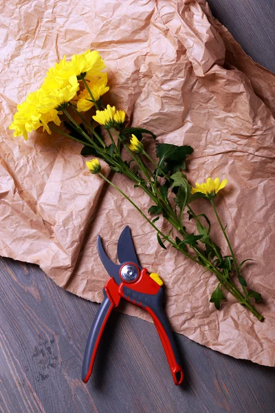 Schöne gelbe Chrysantheme auf Pergament auf Holztisch, Draufsicht — Stockfoto