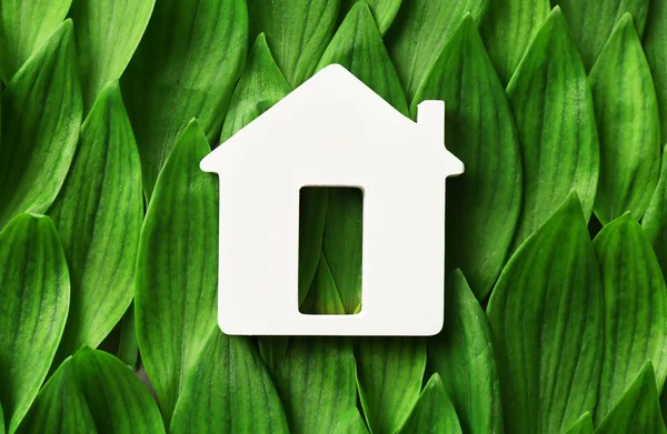 Wooden house on green leaves background — Stock Photo, Image