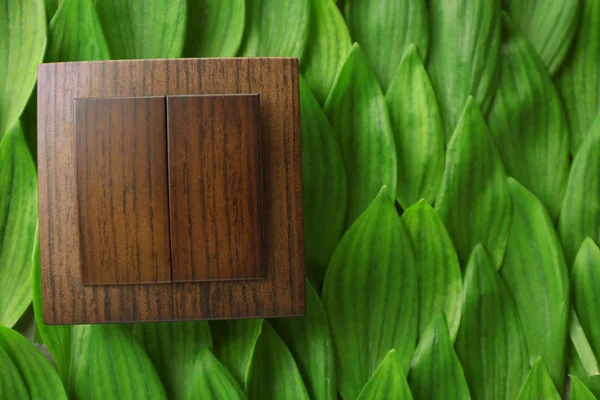 Light switch on green leaves background — Stock Photo, Image