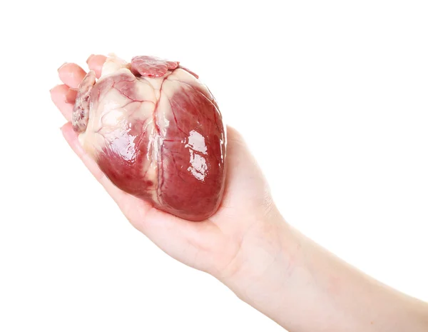 Corazón en mano femenina — Foto de Stock