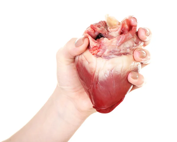 Heart in female hand — Stock Photo, Image