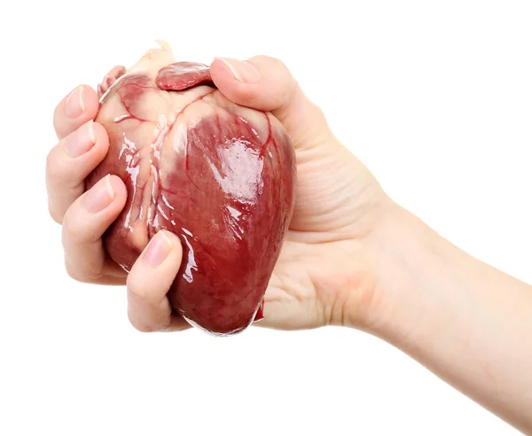 Heart in female hand — Stock Photo, Image