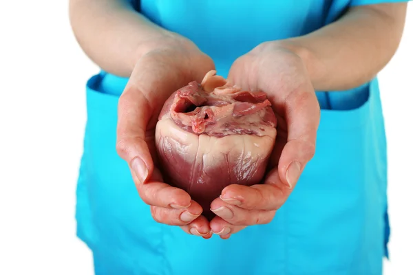 Hjärtat i läkare händer — Stockfoto