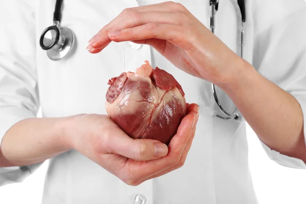 Coeur dans les mains du médecin — Photo