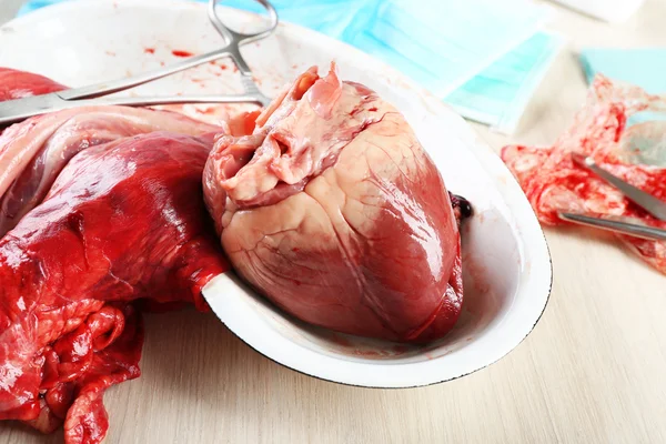 Heart organ in medical metal tray with tools on table, closeup — Stock Photo, Image