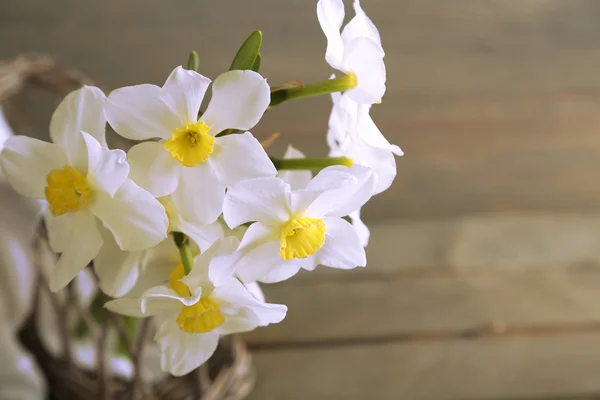 Čerstvý Narcis s proutěným košíkem na dřevěné pozadí — Stock fotografie