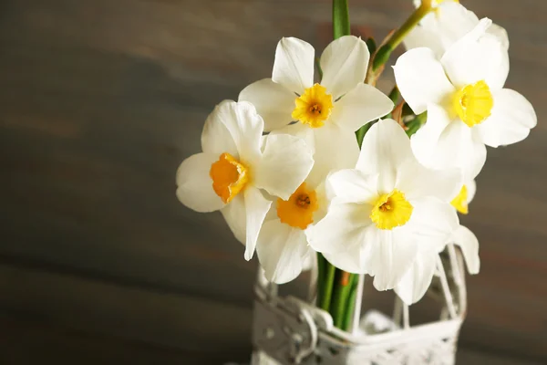 Fresh narcissus in decorative cage on wooden background — Stock Photo, Image