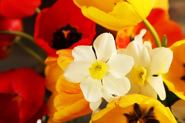 Bellissimo bouquet di tulipani e narcisi — Foto Stock