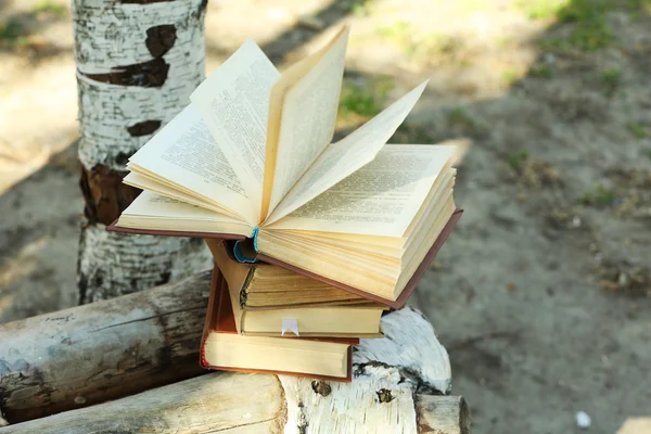 Bücherstapel im Freien — Stockfoto