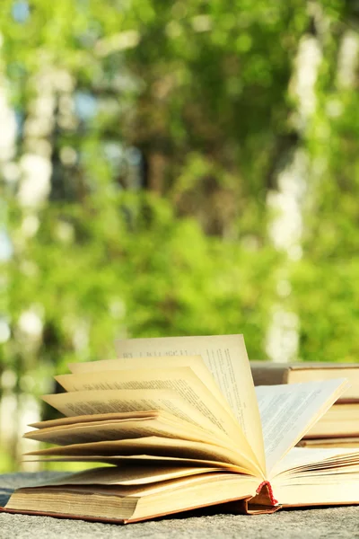 Stack of books outdoors — Stock Photo, Image