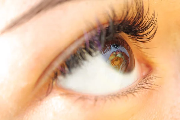 Reflectie bloemen in een close-up van oog — Stockfoto