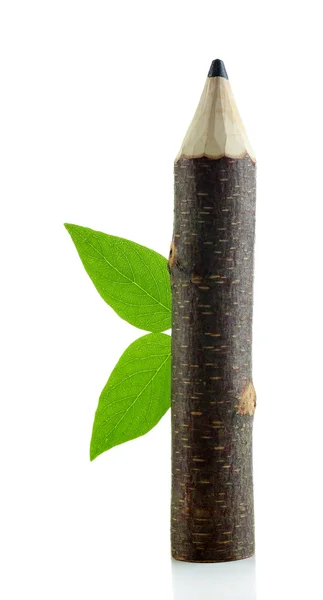 Trä blyertspenna med leaf isolerad på vit — Stockfoto